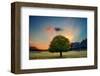 Lone Tree in Cloud Sunset-null-Framed Art Print