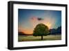 Lone Tree in Cloud Sunset-null-Framed Art Print