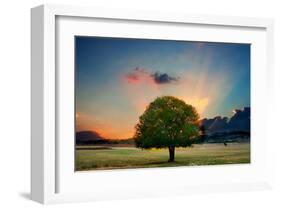 Lone Tree in Cloud Sunset-null-Framed Art Print