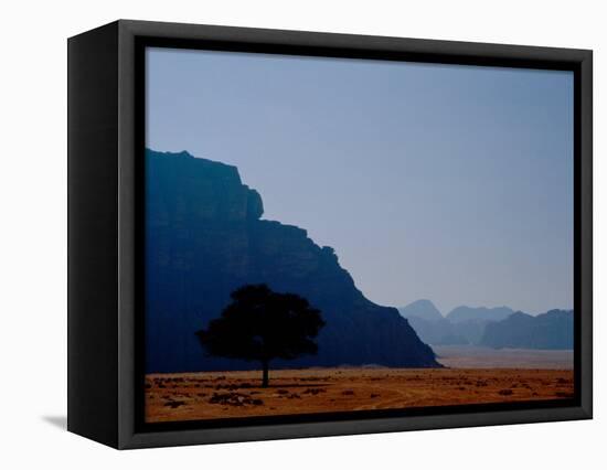 Lone Tree in Desolate Red Desert of Wadi Rum, Jordan-Cindy Miller Hopkins-Framed Stretched Canvas
