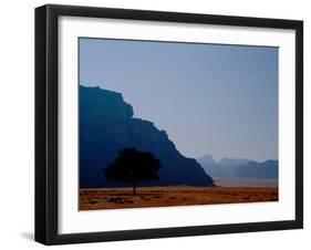 Lone Tree in Desolate Red Desert of Wadi Rum, Jordan-Cindy Miller Hopkins-Framed Premium Photographic Print