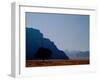 Lone Tree in Desolate Red Desert of Wadi Rum, Jordan-Cindy Miller Hopkins-Framed Premium Photographic Print