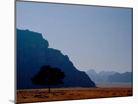 Lone Tree in Desolate Red Desert of Wadi Rum, Jordan-Cindy Miller Hopkins-Mounted Premium Photographic Print
