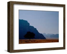 Lone Tree in Desolate Red Desert of Wadi Rum, Jordan-Cindy Miller Hopkins-Framed Photographic Print