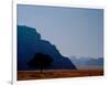 Lone Tree in Desolate Red Desert of Wadi Rum, Jordan-Cindy Miller Hopkins-Framed Photographic Print