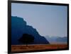 Lone Tree in Desolate Red Desert of Wadi Rum, Jordan-Cindy Miller Hopkins-Framed Photographic Print