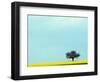 Lone Tree in Field of Rapeseed, Germany-Russell Gordon-Framed Photographic Print