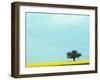 Lone Tree in Field of Rapeseed, Germany-Russell Gordon-Framed Photographic Print