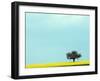 Lone Tree in Field of Rapeseed, Germany-Russell Gordon-Framed Photographic Print