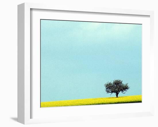 Lone Tree in Field of Rapeseed, Germany-Russell Gordon-Framed Photographic Print