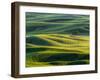 Lone tree in fields of wheat, peas and barley-Terry Eggers-Framed Photographic Print