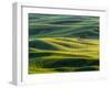 Lone tree in fields of wheat, peas and barley-Terry Eggers-Framed Photographic Print