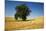 Lone Tree in Harvest Wheat Field-Terry Eggers-Mounted Photographic Print