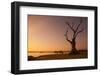 Lone tree in Myanmar.-Michele Niles-Framed Photographic Print