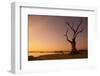 Lone tree in Myanmar.-Michele Niles-Framed Photographic Print