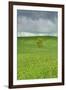 Lone Tree in Rolling Hills of Wheat-Terry Eggers-Framed Photographic Print