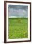 Lone Tree in Rolling Hills of Wheat-Terry Eggers-Framed Photographic Print