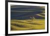 Lone Tree in Rolling Hills of Wheat-Terry Eggers-Framed Photographic Print