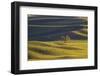 Lone Tree in Rolling Hills of Wheat-Terry Eggers-Framed Photographic Print