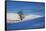 Lone Tree in Snow Covered Winter Field-Terry Eggers-Framed Stretched Canvas