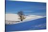 Lone Tree in Snow Covered Winter Field-Terry Eggers-Stretched Canvas