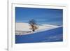 Lone Tree in Snow Covered Winter Field-Terry Eggers-Framed Photographic Print