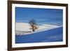 Lone Tree in Snow Covered Winter Field-Terry Eggers-Framed Photographic Print