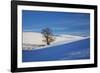 Lone Tree in Snow Covered Winter Field-Terry Eggers-Framed Photographic Print