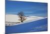 Lone Tree in Snow Covered Winter Field-Terry Eggers-Mounted Photographic Print