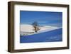 Lone Tree in Snow Covered Winter Field-Terry Eggers-Framed Photographic Print