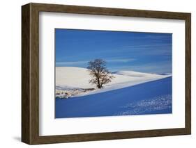 Lone Tree in Snow Covered Winter Field-Terry Eggers-Framed Photographic Print