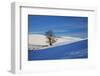 Lone Tree in Snow Covered Winter Field-Terry Eggers-Framed Photographic Print