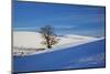 Lone Tree in Snow Covered Winter Field-Terry Eggers-Mounted Photographic Print