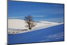 Lone Tree in Snow Covered Winter Field-Terry Eggers-Mounted Photographic Print