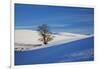 Lone Tree in Snow Covered Winter Field-Terry Eggers-Framed Photographic Print