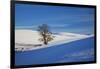Lone Tree in Snow Covered Winter Field-Terry Eggers-Framed Photographic Print