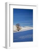 Lone Tree in Snow Covered Winter Field-Terry Eggers-Framed Photographic Print