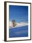 Lone Tree in Snow Covered Winter Field-Terry Eggers-Framed Photographic Print