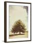 Lone Tree in Summer-Steve Allsopp-Framed Photographic Print