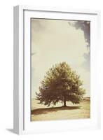 Lone Tree in Summer-Steve Allsopp-Framed Photographic Print