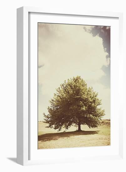 Lone Tree in Summer-Steve Allsopp-Framed Photographic Print