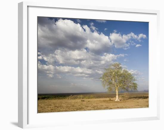 Lone Tree in the Landscape Near the Omo River in Southern Ethiopia, Ethiopia, Africa-Gavin Hellier-Framed Photographic Print