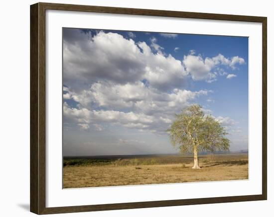 Lone Tree in the Landscape Near the Omo River in Southern Ethiopia, Ethiopia, Africa-Gavin Hellier-Framed Photographic Print