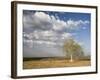 Lone Tree in the Landscape Near the Omo River in Southern Ethiopia, Ethiopia, Africa-Gavin Hellier-Framed Photographic Print