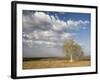 Lone Tree in the Landscape Near the Omo River in Southern Ethiopia, Ethiopia, Africa-Gavin Hellier-Framed Photographic Print