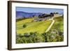 Lone Tree in the Vineyards of Monte Falco-Terry Eggers-Framed Photographic Print