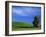 Lone Tree in Wheatfield, Whitman County, Washington, USA-Julie Eggers-Framed Premium Photographic Print