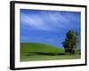 Lone Tree in Wheatfield, Whitman County, Washington, USA-Julie Eggers-Framed Photographic Print