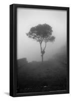 Lone Tree Macchu Picchu Peru-null-Framed Poster