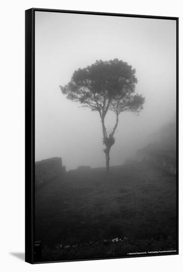 Lone Tree Macchu Picchu Peru-null-Framed Stretched Canvas